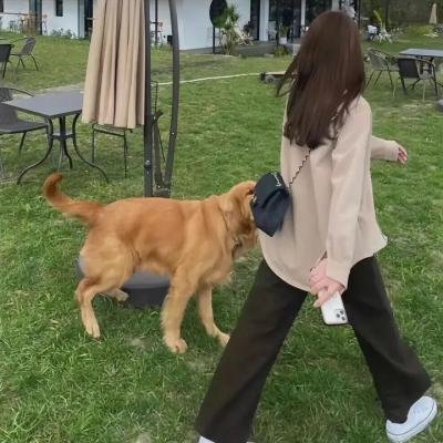 麦加之旅 在线观看封面